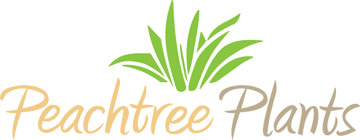 Peachtree Plants